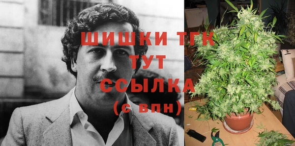 СК Алзамай