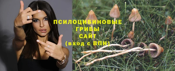 СК Алзамай