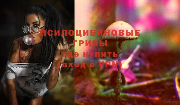 СК Алзамай